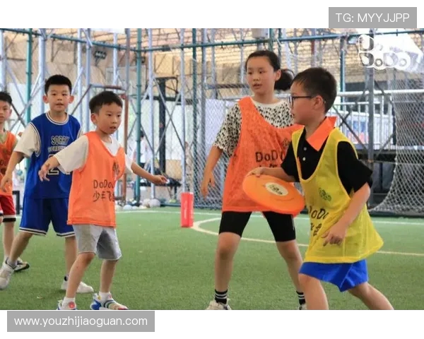 飞盘飞扬北京飞盘队的成长历程与梦想追逐