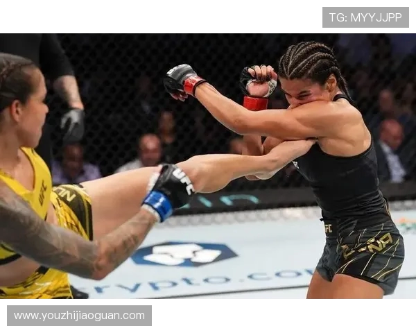 努涅斯在赛场上的崛起与挑战解析,未来能否成为足球界的新星